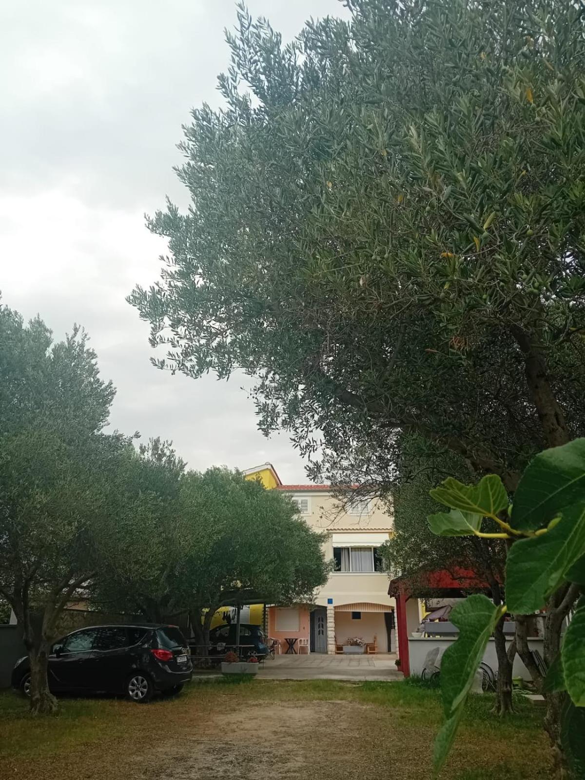 Apartmani A&N Bibinje Extérieur photo